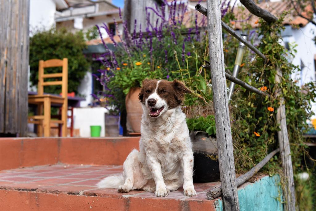 La Selenita Bed & Breakfast Sucre Luaran gambar